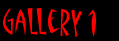 The original WindVisions gallery
